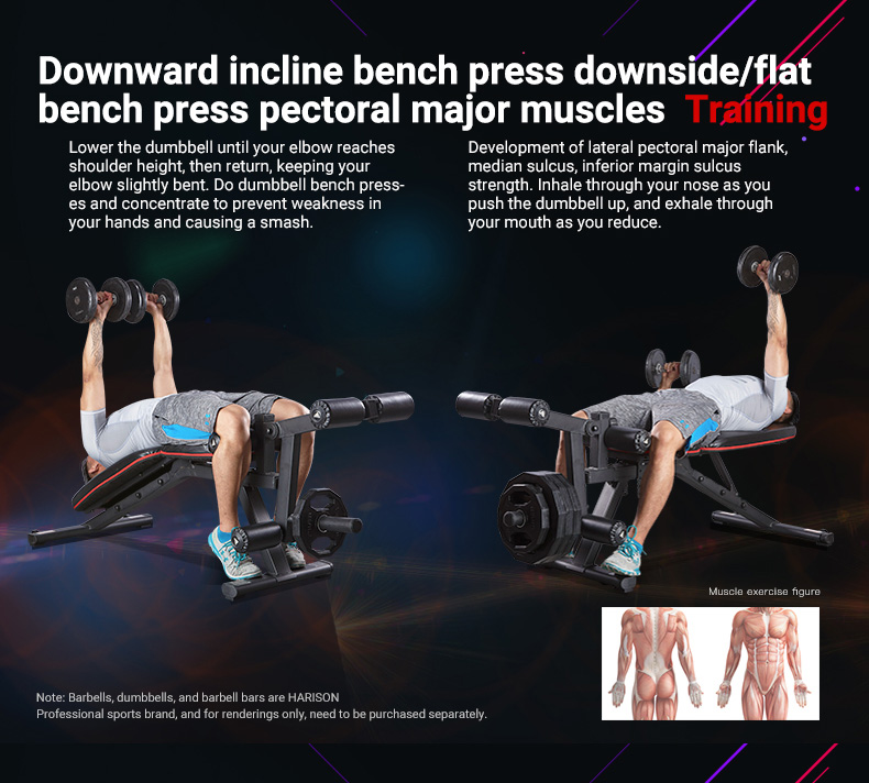 Eddie Hall Weight Bench Wish Workout Plan Strongman Training Gear