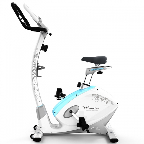 [Special Offer]HARISON Monica B5 Stationary Upright Exercise Bike