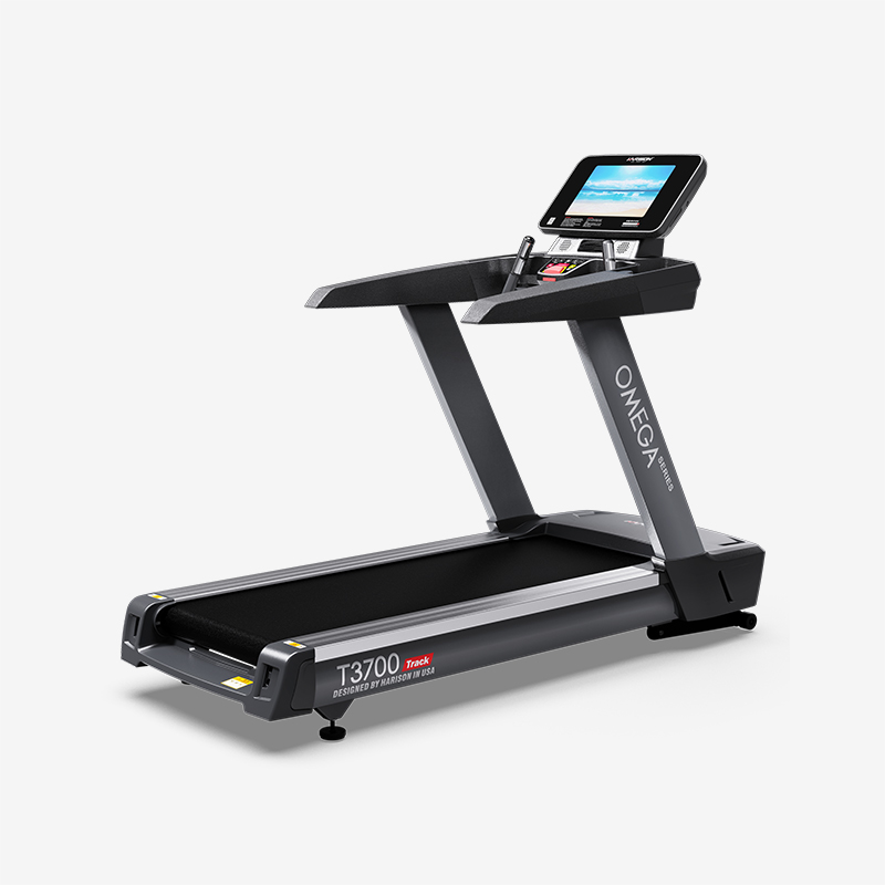 t3700 Treadmill
