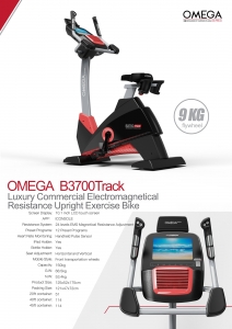 HARISON Luxury Commercial Electromagnetical Resistance Upright Exercise Bike B3700Track