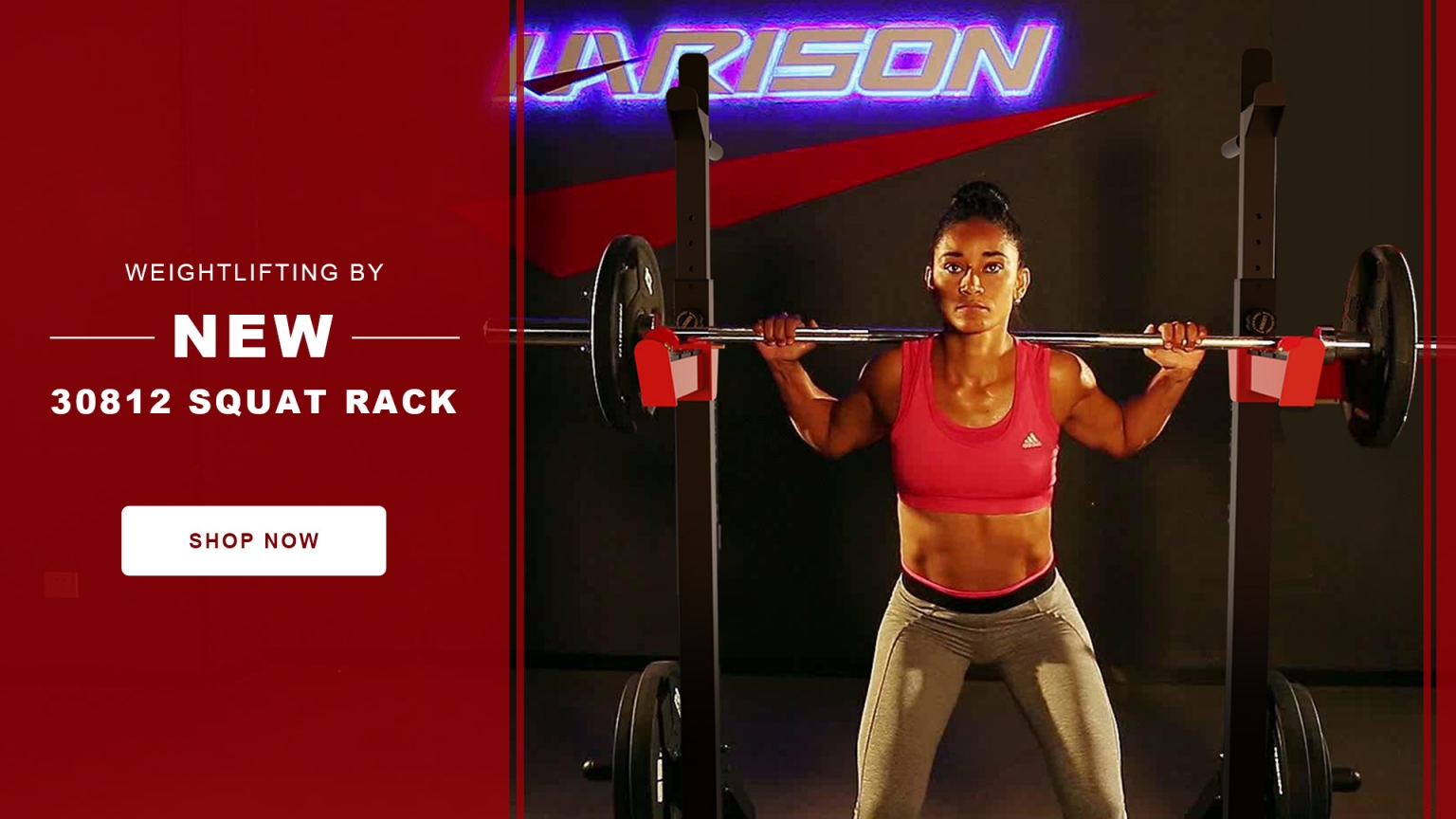 What Is the Lunk Alarm and How Do People Feel About It? Exercise Bike