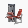 DISCOVER G1106 Leg Curl Machine-2