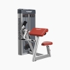 DISCOVER G1107 Seated Preacher Curls Machine-2