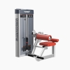 : DISCOVER G1109 Abdominal Crunch Machine-2