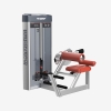 DISCOVER G1110 Back Extension Machine-2