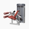 DISCOVER G1106 Leg Curl Machine-1