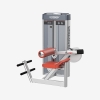 DISCOVER G1110 Back Extension Machine-1