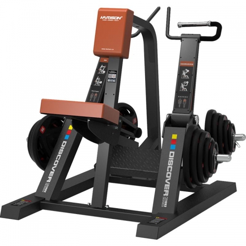 DISCOVER G1202 Shoulder Extension Low Row Machine