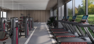 commercial gym equipment