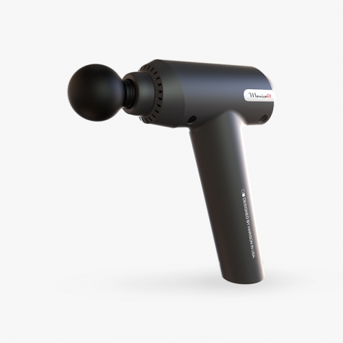 HARISON 310 fascia gun