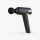 HARISON 310 fascia gun
