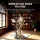 HARISON Exercise Bike Magnetic Desk Bike